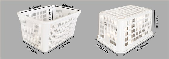 新款八斤尺寸图 1