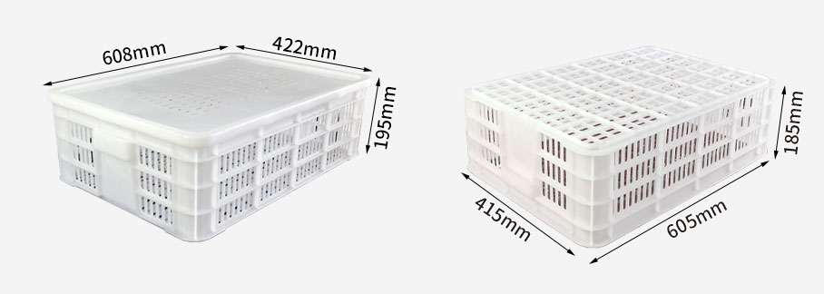 605-185筐-带盖尺寸图